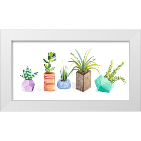 Succulent Display I White Modern Wood Framed Art Print by Ewer, Rebekah