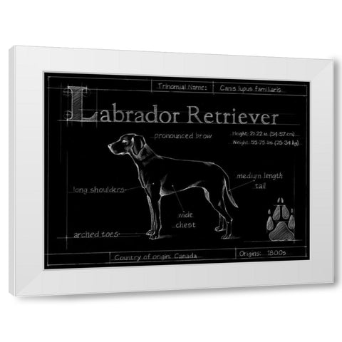 Blueprint Labrador Retriever White Modern Wood Framed Art Print by Ethan Harper