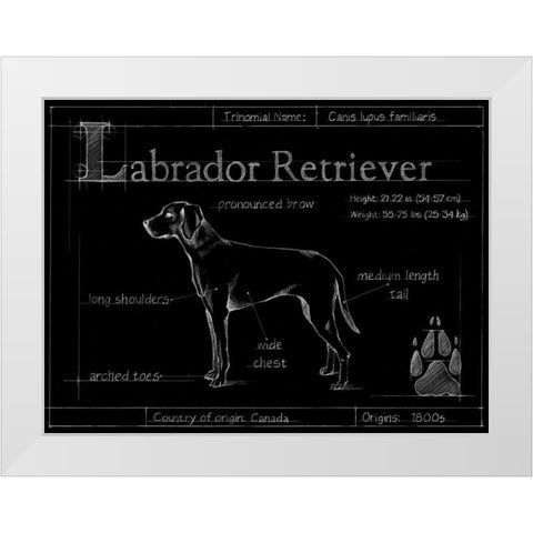 Blueprint Labrador Retriever White Modern Wood Framed Art Print by Ethan Harper
