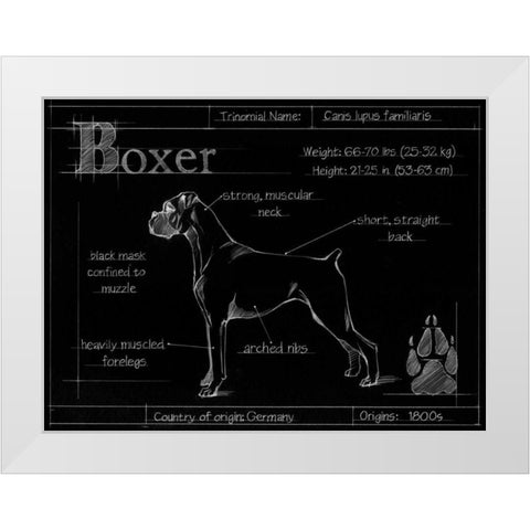 Blueprint Boxer White Modern Wood Framed Art Print by Ethan Harper