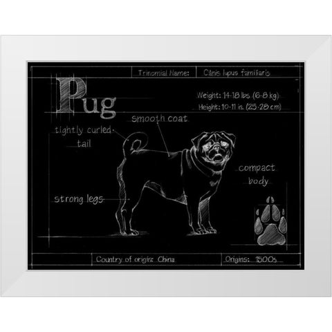 Blueprint Pug White Modern Wood Framed Art Print by Ethan Harper