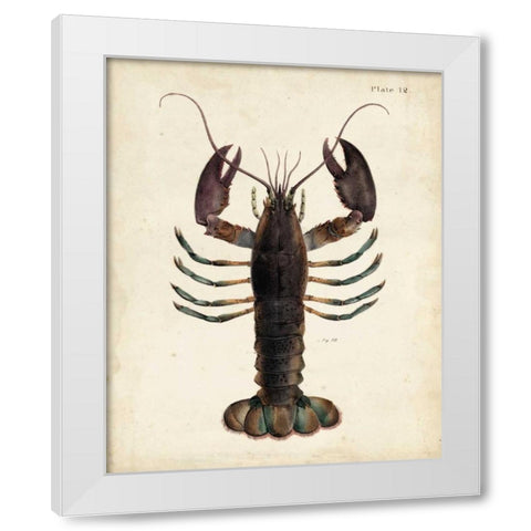 Vintage Lobster White Modern Wood Framed Art Print by Dekay