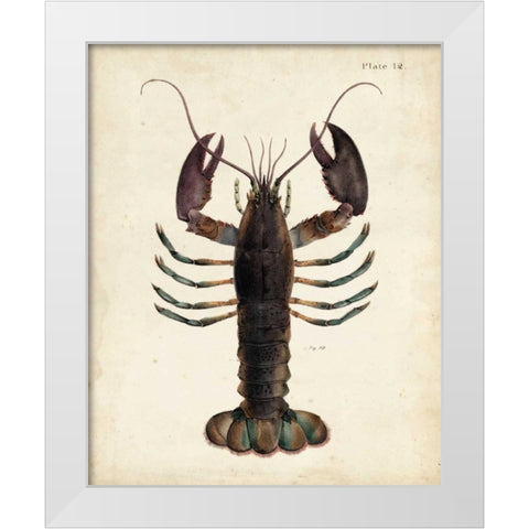Vintage Lobster White Modern Wood Framed Art Print by Dekay