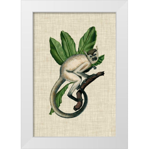 Canopy Monkey IV White Modern Wood Framed Art Print by McCavitt, Naomi