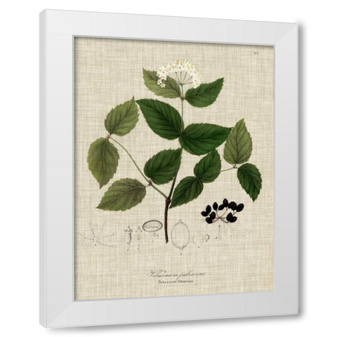 Linen and Leaves I White Modern Wood Framed Art Print by Vision Studio