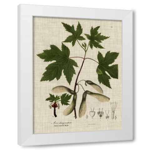 Linen and Leaves II White Modern Wood Framed Art Print by Vision Studio