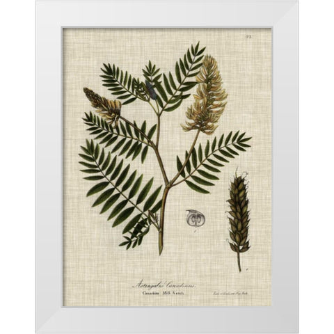 Linen and Leaves III White Modern Wood Framed Art Print by Vision Studio