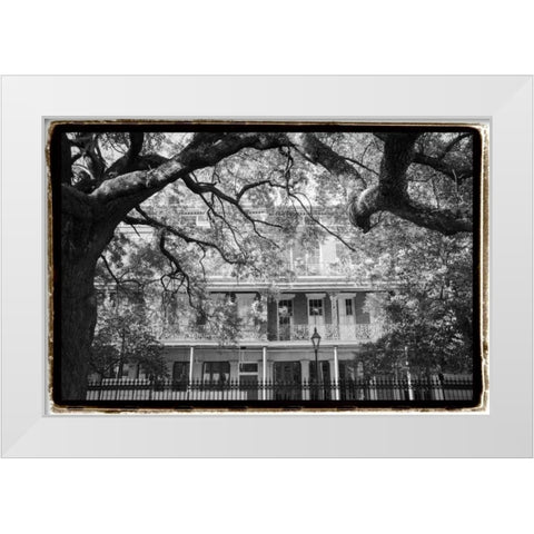 Jackson Square, New Orleans White Modern Wood Framed Art Print by DeNardo, Laura