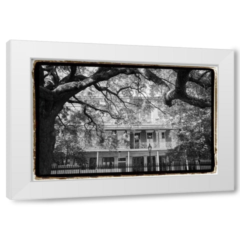 Jackson Square, New Orleans White Modern Wood Framed Art Print by DeNardo, Laura