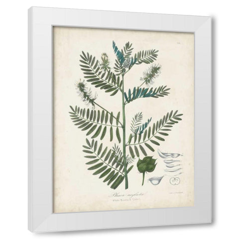 Flowering Flora I White Modern Wood Framed Art Print by Torrey, John