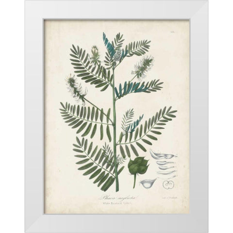 Flowering Flora I White Modern Wood Framed Art Print by Torrey, John