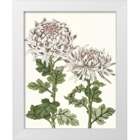 Early Spring Chrysanthemums II White Modern Wood Framed Art Print by McCavitt, Naomi