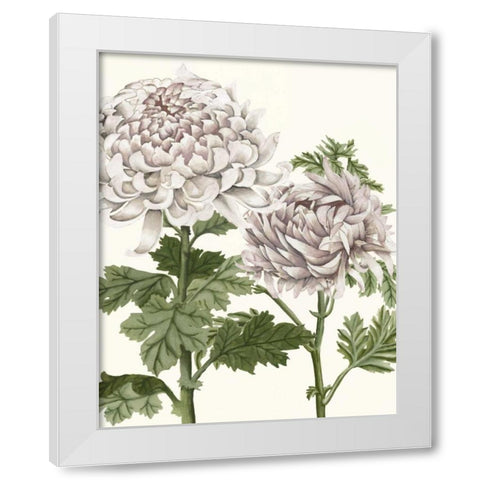 Early Spring Chrysanthemums III White Modern Wood Framed Art Print by McCavitt, Naomi