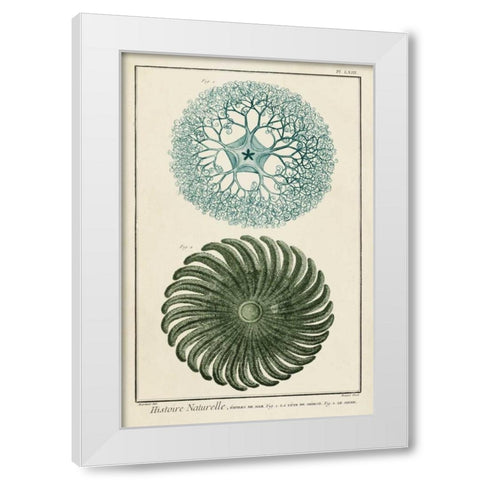 Ocean Oddity I White Modern Wood Framed Art Print by Vision Studio