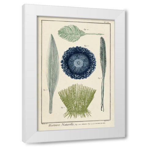 Ocean Oddity II White Modern Wood Framed Art Print by Vision Studio