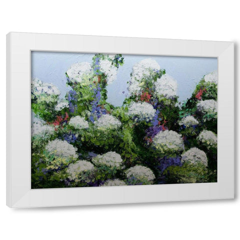 Mums Garden White Modern Wood Framed Art Print by Friedlander, Allan