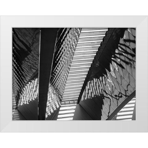 Varied Shapes I White Modern Wood Framed Art Print by Bane, Eva