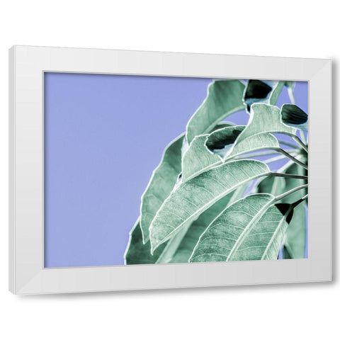 Clear Leaves on Blue I White Modern Wood Framed Art Print by Bane, Eva