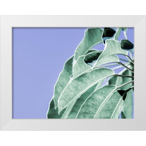 Clear Leaves on Blue I White Modern Wood Framed Art Print by Bane, Eva