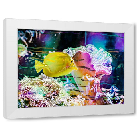 Vibrant Reef IV White Modern Wood Framed Art Print by Bane, Eva