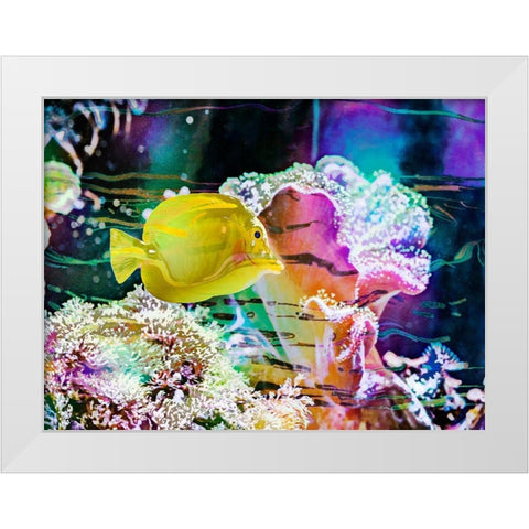 Vibrant Reef IV White Modern Wood Framed Art Print by Bane, Eva