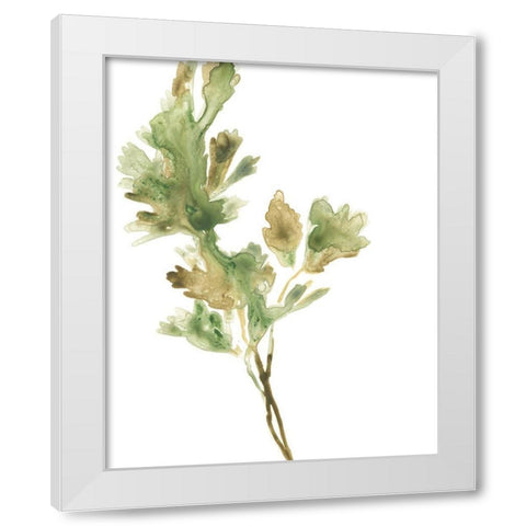 Earthtone Herbs I White Modern Wood Framed Art Print by Vess, June Erica