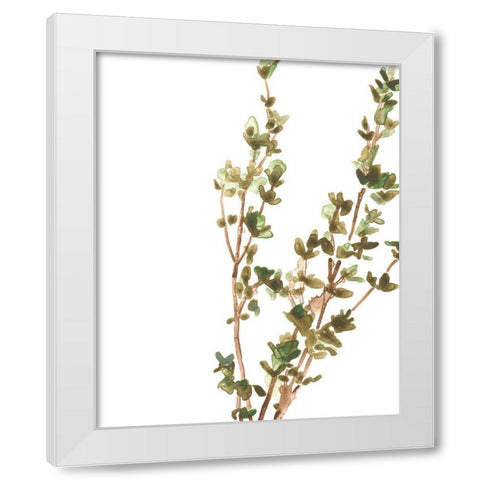 Earthtone Herbs II White Modern Wood Framed Art Print by Vess, June Erica