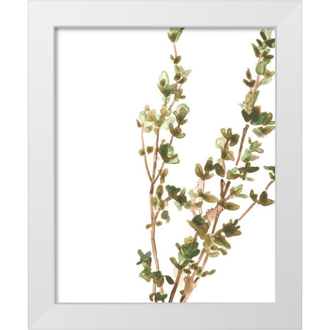 Earthtone Herbs II White Modern Wood Framed Art Print by Vess, June Erica