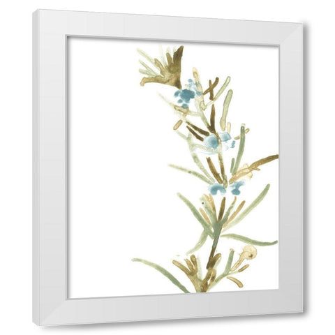 Earthtone Herbs III White Modern Wood Framed Art Print by Vess, June Erica
