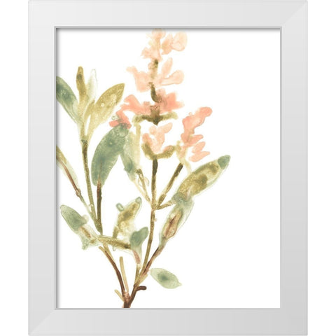 Earthtone Herbs IV White Modern Wood Framed Art Print by Vess, June Erica