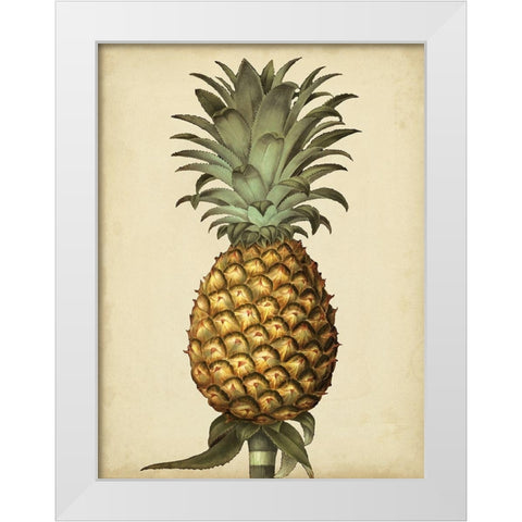 Brookshaw Antique Pineapple I White Modern Wood Framed Art Print by Brookshaw, George