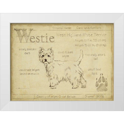 Antique Westie (ASH) White Modern Wood Framed Art Print by Harper, Ethan