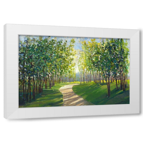 Walking Trail I White Modern Wood Framed Art Print by OToole, Tim