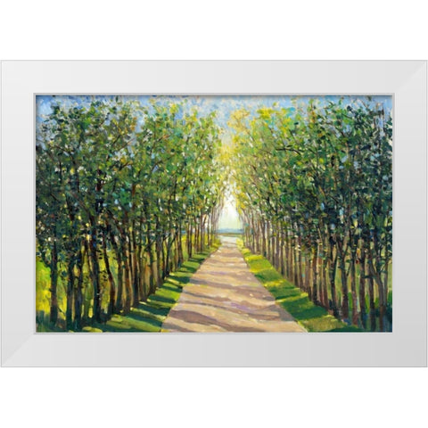 Walking Trail II White Modern Wood Framed Art Print by OToole, Tim