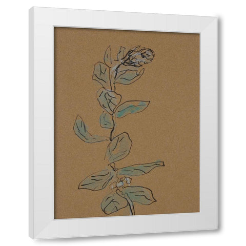 Little Plants of Big Sur XIV White Modern Wood Framed Art Print by Delamater, Rob