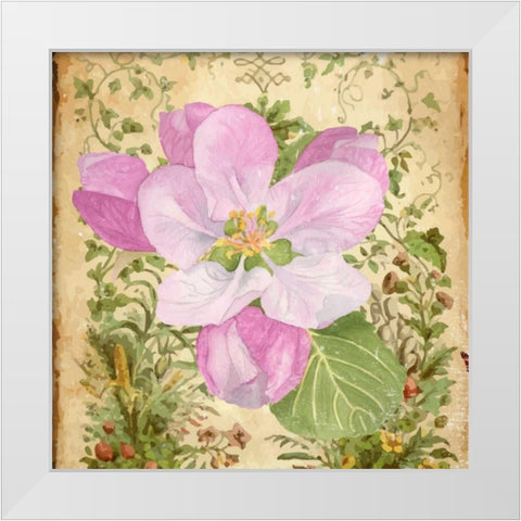 Vintage Apple Blossom II White Modern Wood Framed Art Print by Mark, Leslie