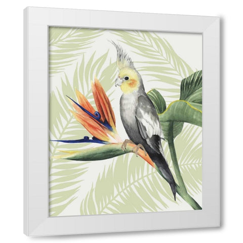 Avian Paradise I White Modern Wood Framed Art Print by Popp, Grace