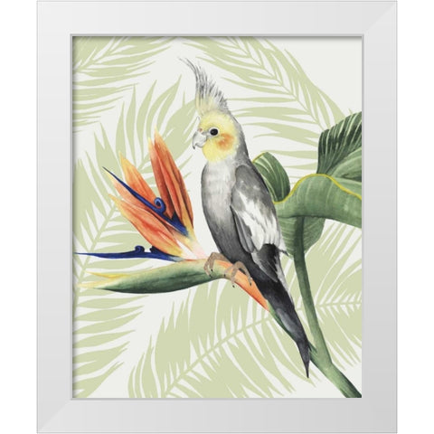 Avian Paradise I White Modern Wood Framed Art Print by Popp, Grace