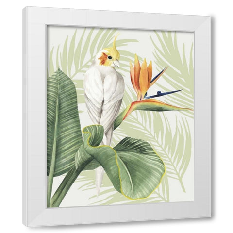 Avian Paradise II White Modern Wood Framed Art Print by Popp, Grace
