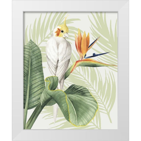 Avian Paradise II White Modern Wood Framed Art Print by Popp, Grace