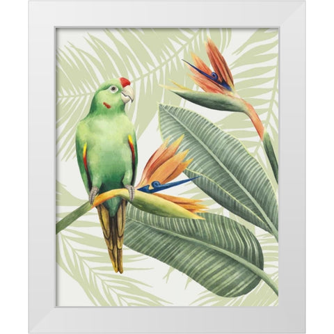 Avian Paradise IV White Modern Wood Framed Art Print by Popp, Grace