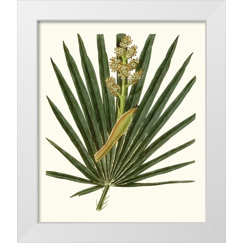 Grand Foliage II White Modern Wood Framed Art Print by Vision Studio