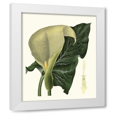 Grand Foliage III White Modern Wood Framed Art Print by Vision Studio