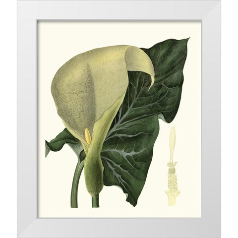 Grand Foliage III White Modern Wood Framed Art Print by Vision Studio