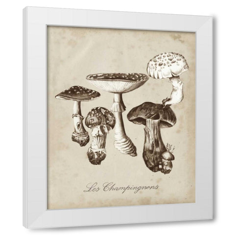 Les Champignons I White Modern Wood Framed Art Print by McCavitt, Naomi
