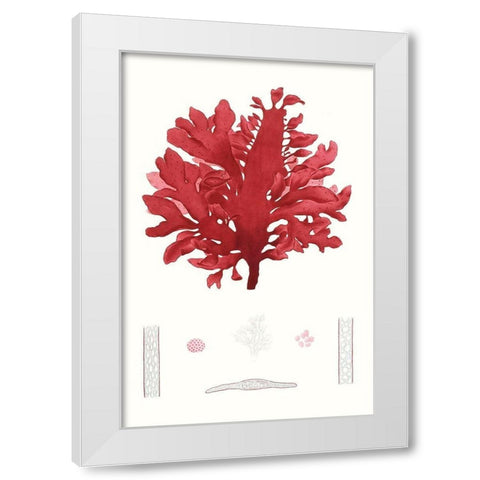 Striking Seaweed I White Modern Wood Framed Art Print by Vision Studio