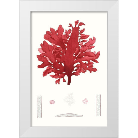 Striking Seaweed I White Modern Wood Framed Art Print by Vision Studio