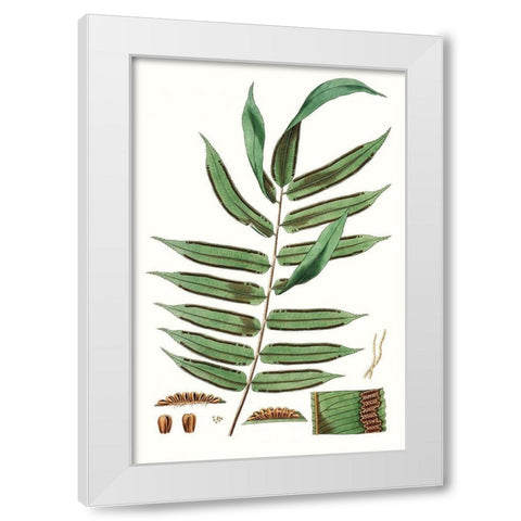 Fern Foliage I White Modern Wood Framed Art Print by Vision Studio