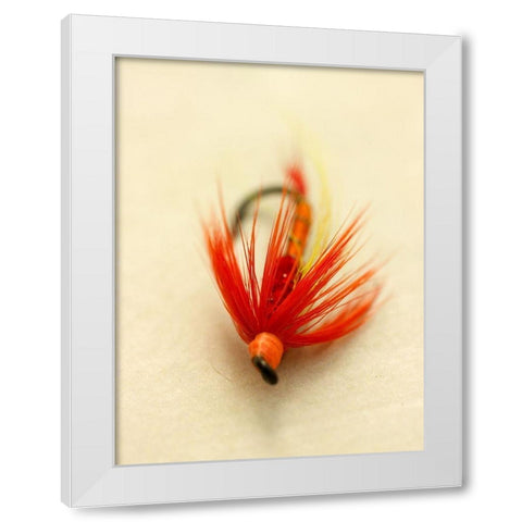 Custom Macro Lures VIII (ASH) White Modern Wood Framed Art Print by Stalus, Judy