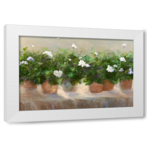 White Geraniums White Modern Wood Framed Art Print by Finch, Sheila